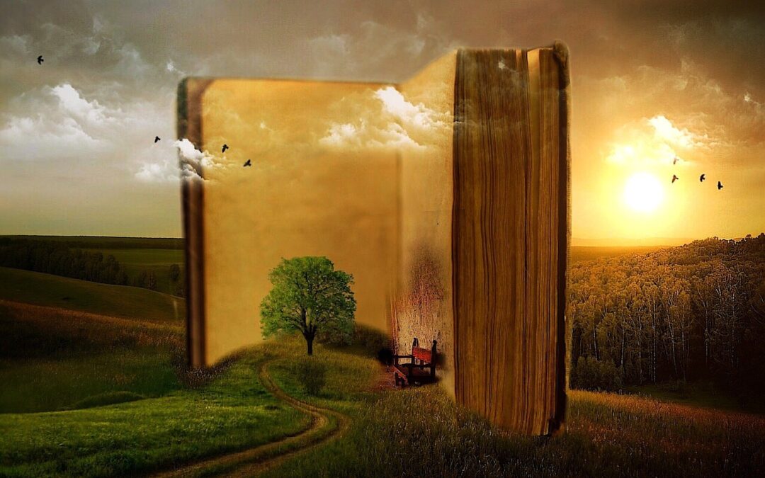 L comme lectures